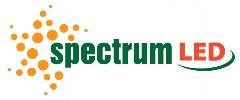Kinkiet ogrodowy Spectrum czarny GU10 35 W