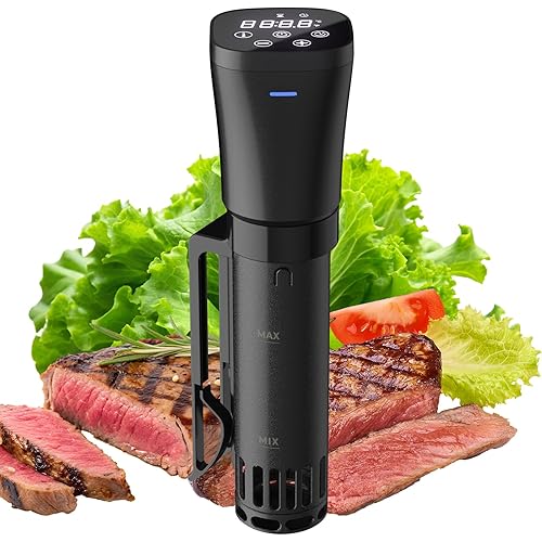 Cyrkulator sous vide 1000 W z timerem – do mięsa i warzyw